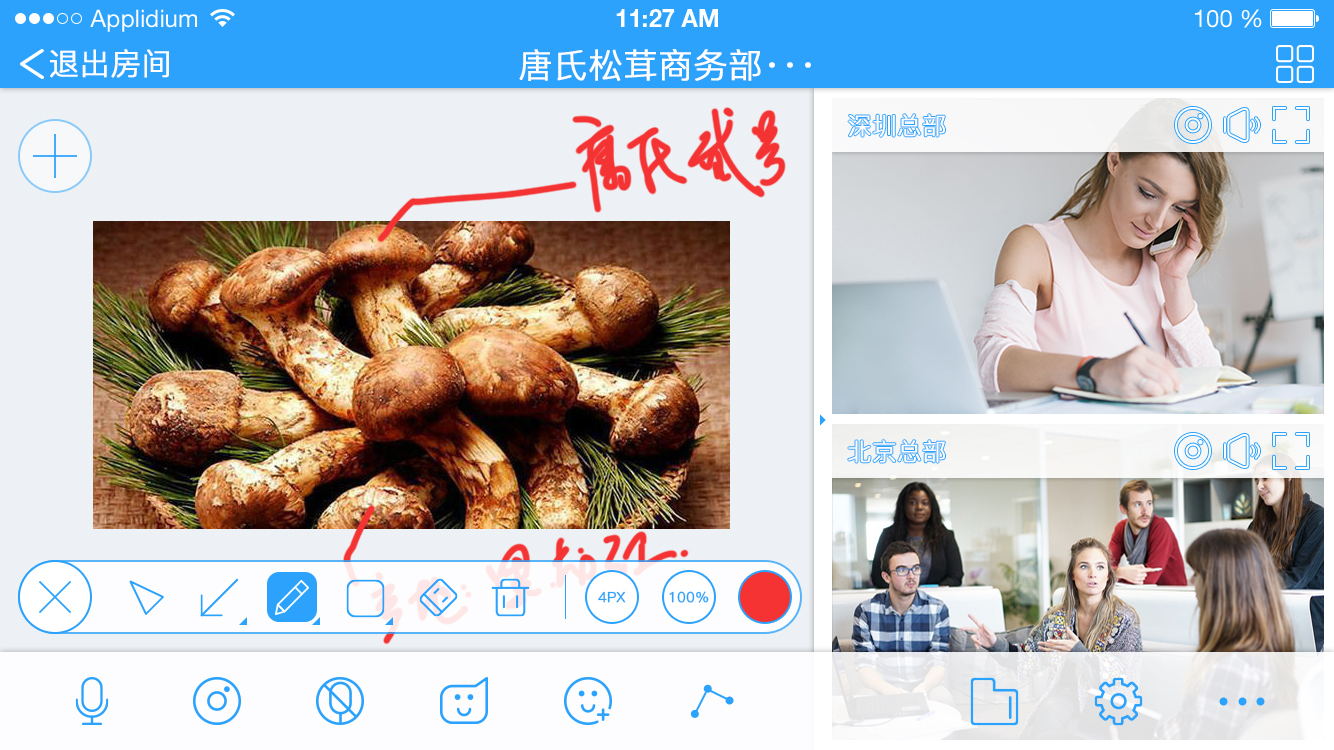 挪動(dòng)視頻會(huì)議